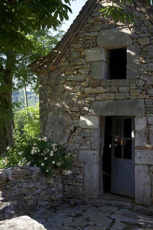 Bed and Breakfast Mas De Garrigue Calvignac Exteriér fotografie