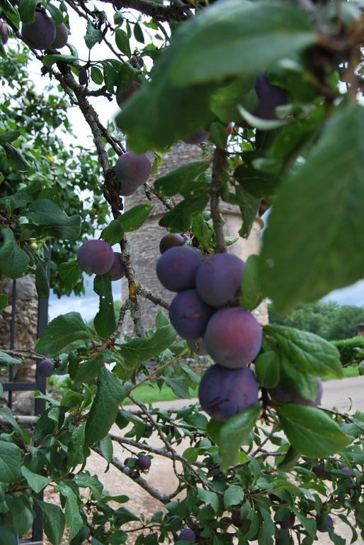 Bed and Breakfast Mas De Garrigue Calvignac Exteriér fotografie